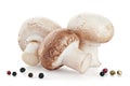 Fresh mushroom champignon on white background Royalty Free Stock Photo