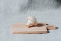 Fresh mushroom champignon on a wooden board. Close-up Royalty Free Stock Photo