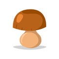 Fresh mushroom isolated illustration