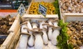 Fresh mushroom varieties in wooden boxes in French market in Paris, France