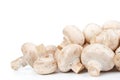 Fresh mushrooms Royalty Free Stock Photo