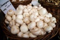 fresh mushrooms at an autumn market Royalty Free Stock Photo