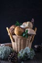 Fresh mushrooms in basket, boletus harvested in the forest