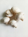 fresh mushrooms. champignons, ingredients for cooking Royalty Free Stock Photo