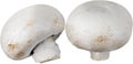 Fresh mushrooms champignons. Isolated on white Royalty Free Stock Photo
