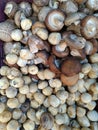 Fresh mushrooms on the farmers market. Food. Shiitake, straw mushroom Royalty Free Stock Photo