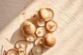 Fresh mushrooms flatlay scene in sunlight with shadows