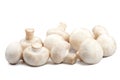 Fresh mushrooms isolated Royalty Free Stock Photo