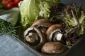 Fresh mushrooms, lettuce, parsley, tomatoes, chives on a tray. vegan ingredients for a burger