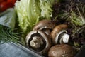 Fresh mushrooms, lettuce, parsley, tomatoes, chives on a tray. vegan ingredients for a burger Royalty Free Stock Photo