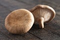 Fresh Mushrooms on a Wooden Table Royalty Free Stock Photo