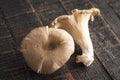 Fresh Mushrooms on a Wooden Table Royalty Free Stock Photo