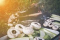 Fresh mushrooms and zucchini waiting to be grilled Royalty Free Stock Photo