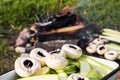 Fresh mushrooms and zucchini waiting to be grilled Royalty Free Stock Photo