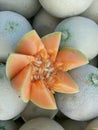 Fresh musk melon for sale