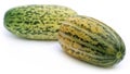 Fresh Muskmelons Royalty Free Stock Photo