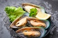 Fresh mussels on black bowl and ice with lemon and lettuce for cooked food - Seafood shellfish steamed mussels Royalty Free Stock Photo