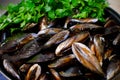 Fresh mussels Royalty Free Stock Photo