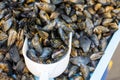 Fresh mussels on fish farmer market in Provence Royalty Free Stock Photo