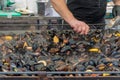 Fresh mussels at grill pan..Plenty of mussel shells cooking at large metallic pan