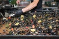 Fresh mussels at grill pan..Plenty of mussel shells cooking at large metallic pan