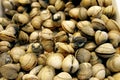 Fresh mussels for sale at a food market in Spain Royalty Free Stock Photo