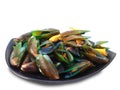 Fresh mussels on white background