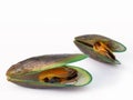 Fresh mussels on white background