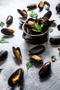 Fresh mussels in wine sauce. The concept of cooking seafood. Gray background. Top view Royalty Free Stock Photo