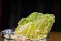 Fresh of napa lettuce or Chinese cabbage leave isolate in black background. Royalty Free Stock Photo