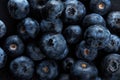 Fresh natural antioxidant blueberries pile, macro detailed close up Royalty Free Stock Photo