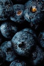 Fresh natural antioxidant blueberries pile, macro detailed close up Royalty Free Stock Photo