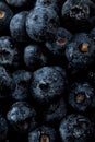 Fresh natural antioxidant blueberries pile, macro detailed close up Royalty Free Stock Photo