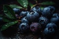 Fresh natural antioxidant blueberries pile, macro detailed close up