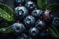 Fresh natural antioxidant blueberries pile, macro detailed close up Royalty Free Stock Photo