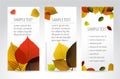 Fresh natural autumn vertical banners with leafs Royalty Free Stock Photo