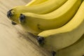 Fresh natural banana bunch Royalty Free Stock Photo