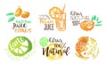 Fresh Natural Citrus Juice Labels Set Hand Drawn Watercolor Vector Illustration Royalty Free Stock Photo