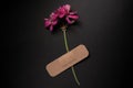 Fresh natural flower attached adhesive plaster on a background. Bandage strip on flower