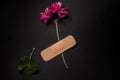 Fresh natural flower attached adhesive plaster on a background. Bandage strip on flower