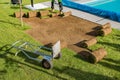 Fresh Natural Grass Turfs Replacement in a Backyard Garden Royalty Free Stock Photo