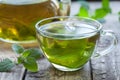 Fresh natural green melissa herbal tea in glass Royalty Free Stock Photo