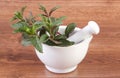 Fresh natural green mint in mortar, healthy lifestyle