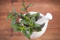 Fresh natural green mint in mortar, healthy lifestyle