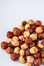 Fresh natural hazelnuts on a white acrylic background Royalty Free Stock Photo