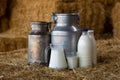 Fresh natural milk in decanter and cans on farm hayloft Royalty Free Stock Photo