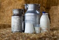 Fresh natural milk in decanter and cans on farm hayloft Royalty Free Stock Photo