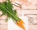 Fresh natural organic carrot bag made of cotton wooden rustic background. Natural organic products. Ecology concept. Royalty Free Stock Photo