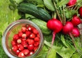 Fresh natural organic products - vegetables, herbs, berries, top view. cucumbers, radishes, dill, lettuce and strawberries in a Royalty Free Stock Photo