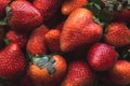 Fresh natural organic tasty strawberry